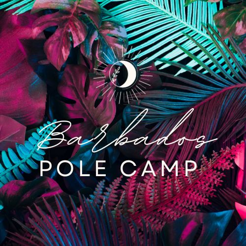 pole fitness camp book now
